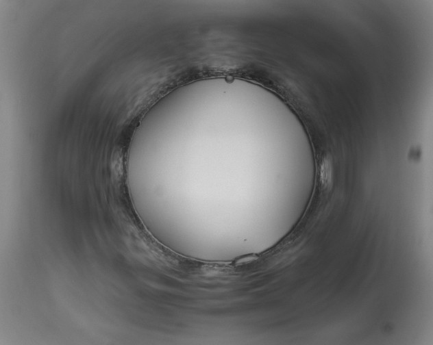 X0000112881299200909181839