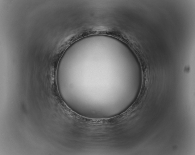 X0000112881301200909181839