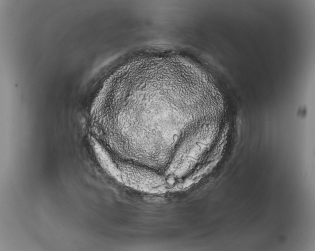 X0000112881302200909181839