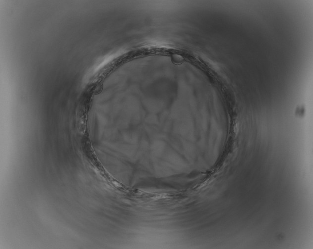 X0000112881303200909181839