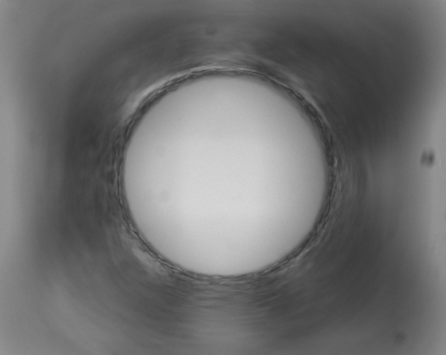 X0000112881304200909181839