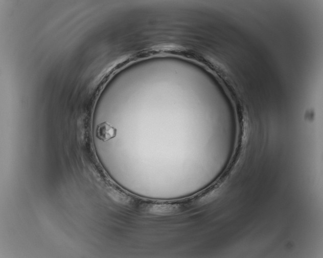 X0000112881305200909181839