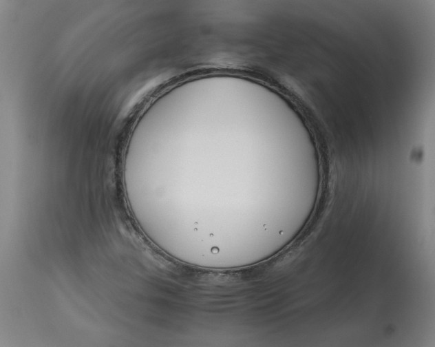 X0000112881307200909181839