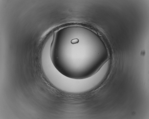 X0000112881310200909181839