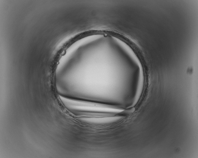 X0000112881311200909181839