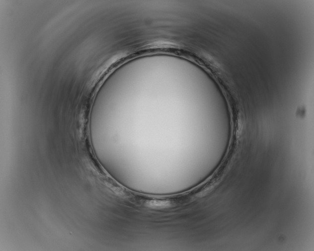 X0000112881313200909181839