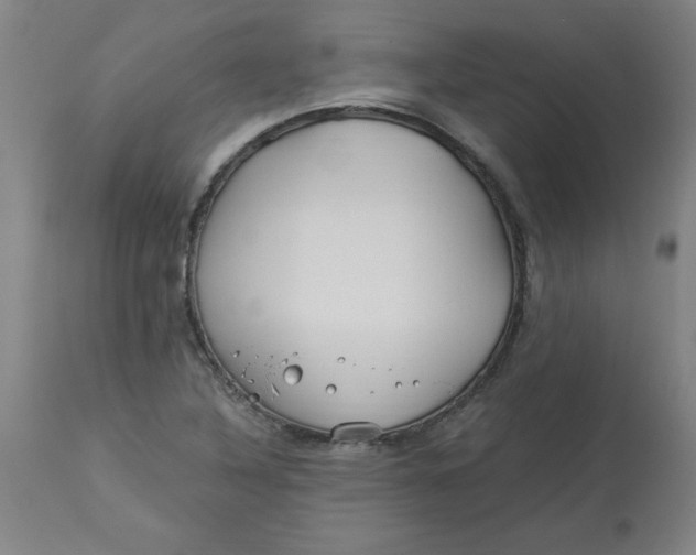 X0000112881316200909181839