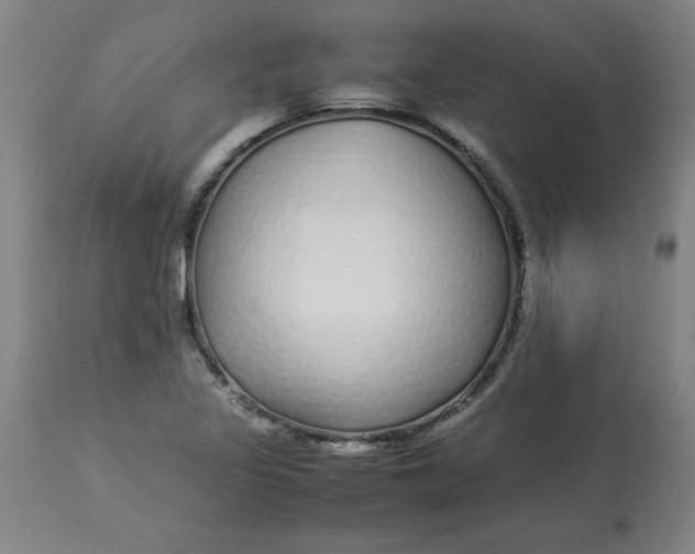 X0000112881317200909181839