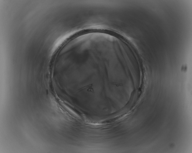 X0000112881319200909181839