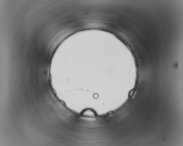 X0000112881322200909181839