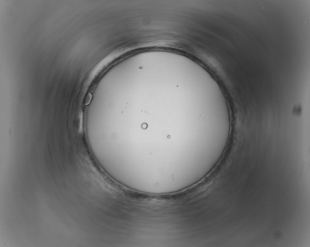 X0000112881324200909181839