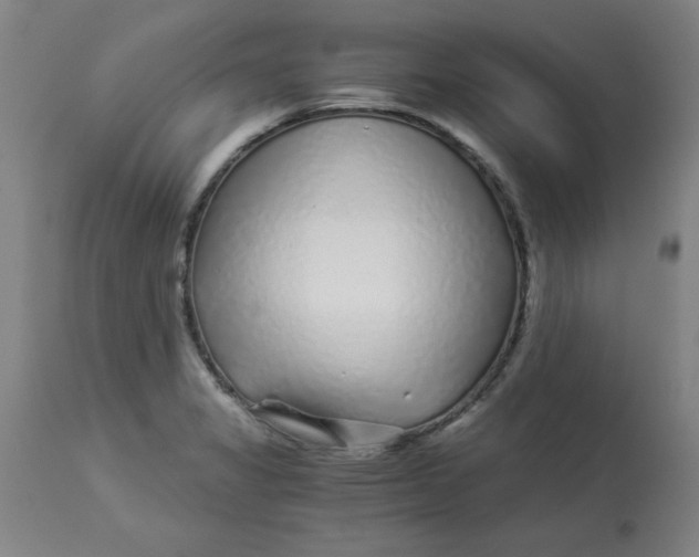 X0000112881325200909181839