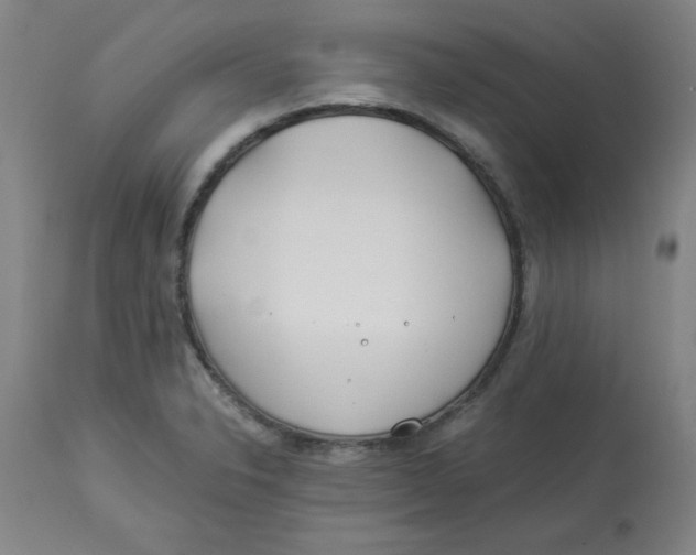 X0000112881326200909181839