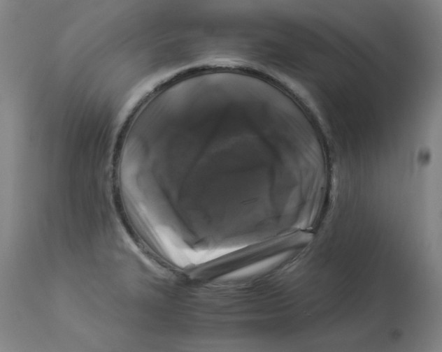 X0000112881327200909181839