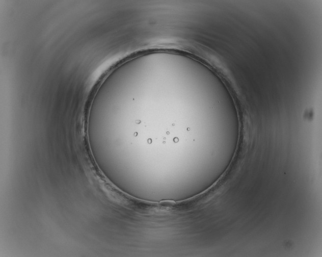 X0000112881328200909181839