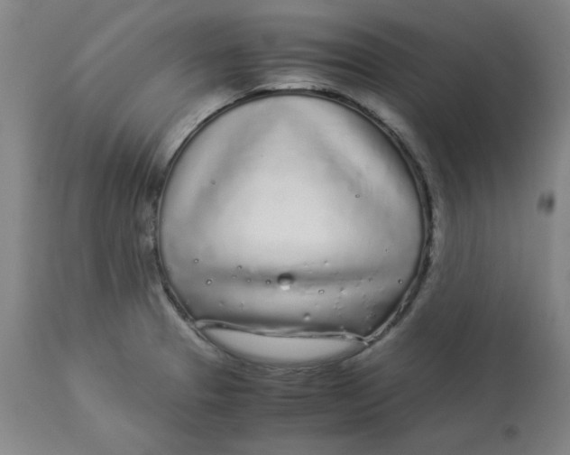 X0000112881329200909181839