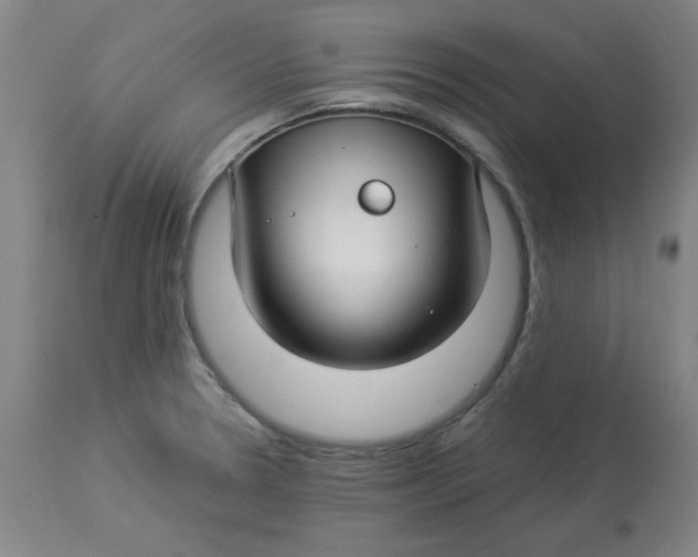 X0000112881330200909181839