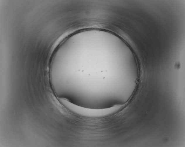 X0000112881332200909181839