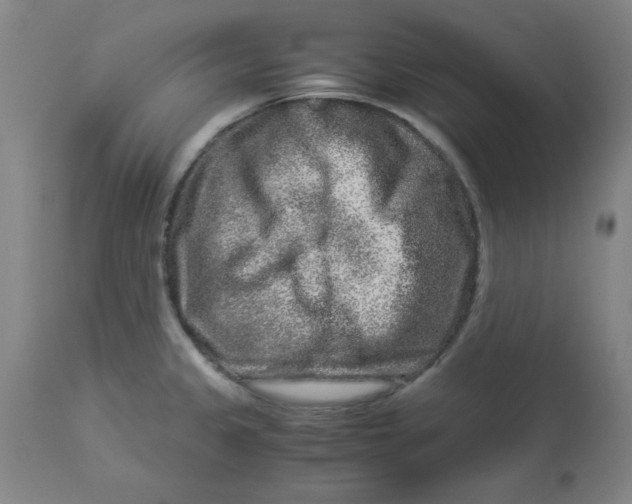 X0000112881333200909181839