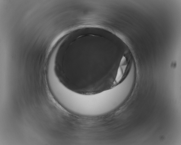 X0000112881334200909181839