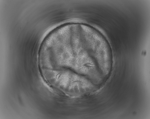 X0000112881335200909181839