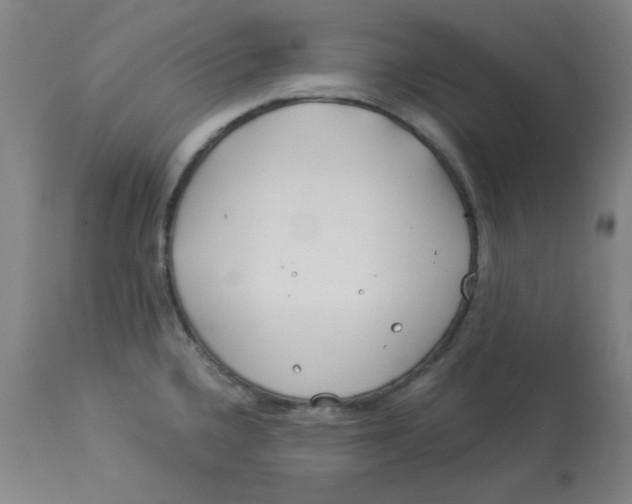 X0000112881336200909181839