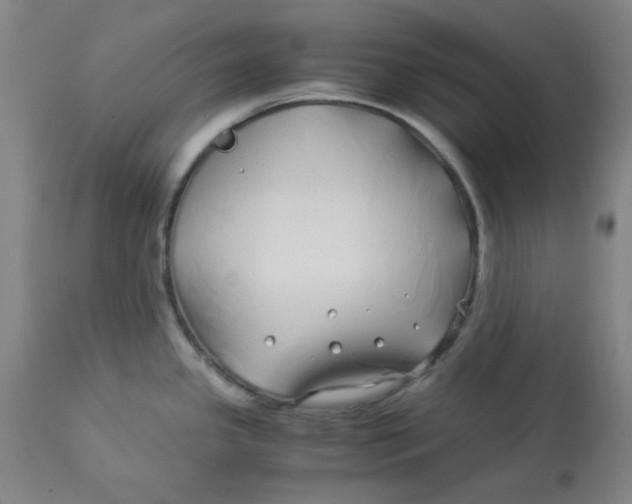 X0000112881341200909181839