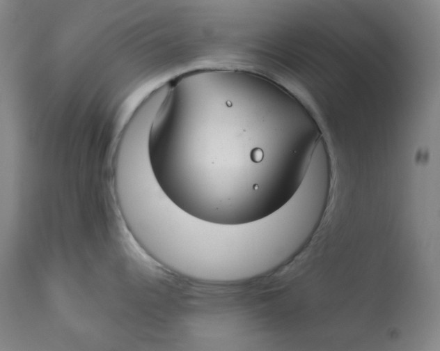 X0000112881344200909181839