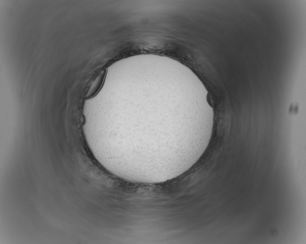 X0000112881345200909181838