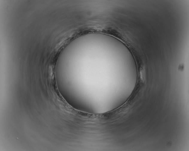 X0000112881347200909181838