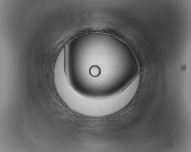 X0000112881349200909181838