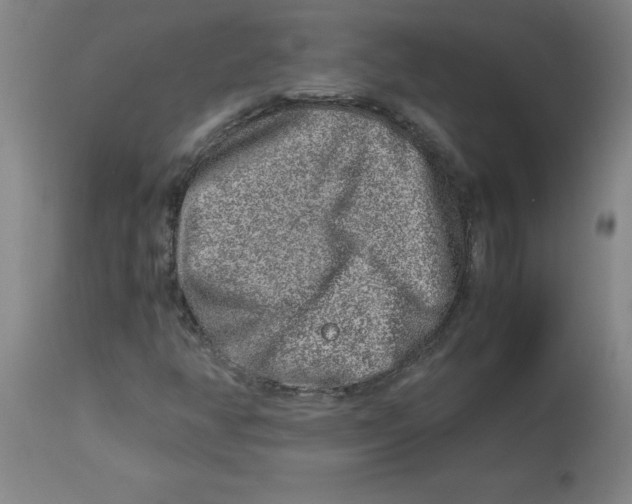 X0000112881350200909181838