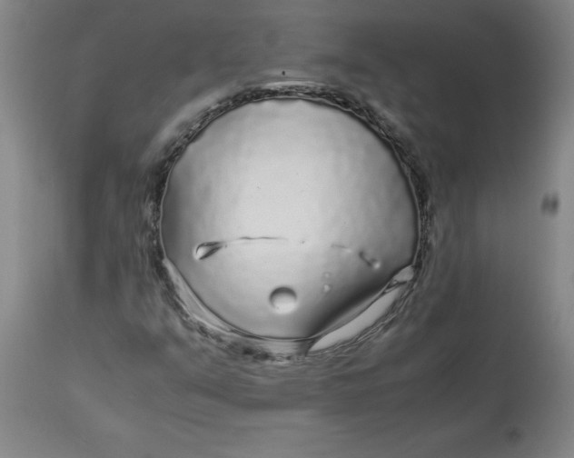 X0000112881351200909181838