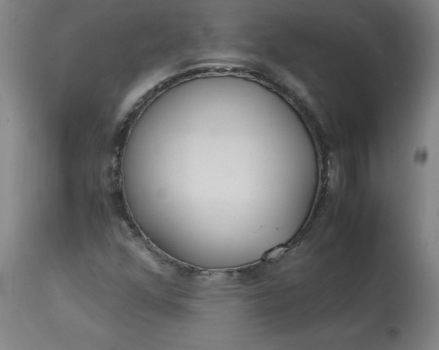 X0000112881352200909181838