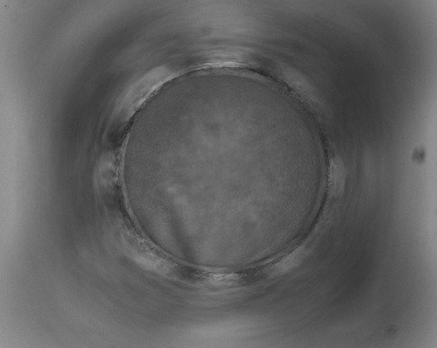 X0000112881353200909181838