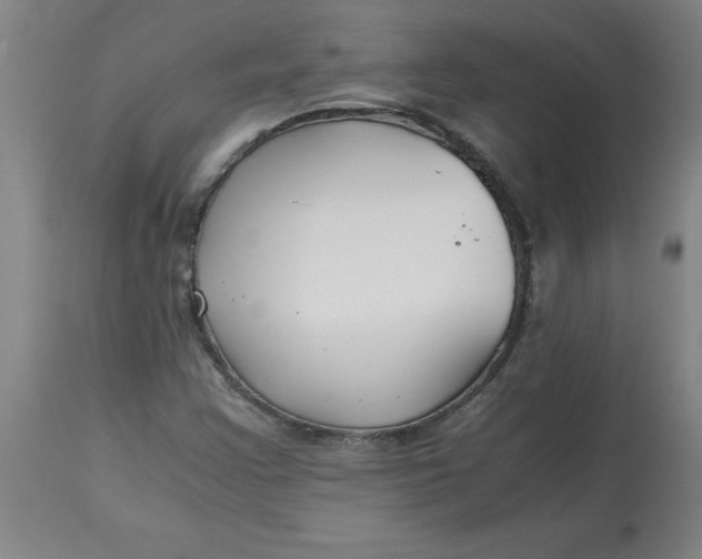 X0000112881355200909181838