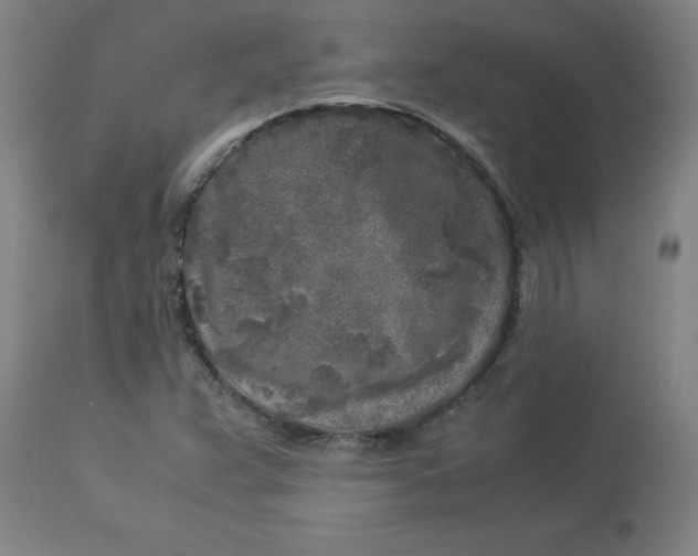 X0000112881359200909181838