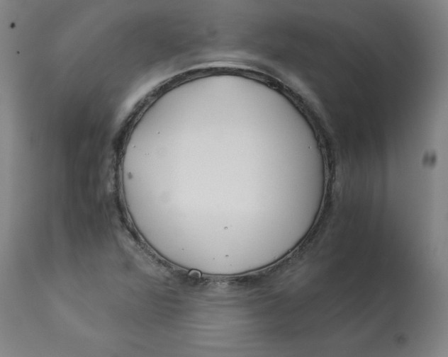 X0000112881360200909181838