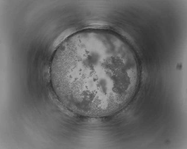 X0000112881362200909181838