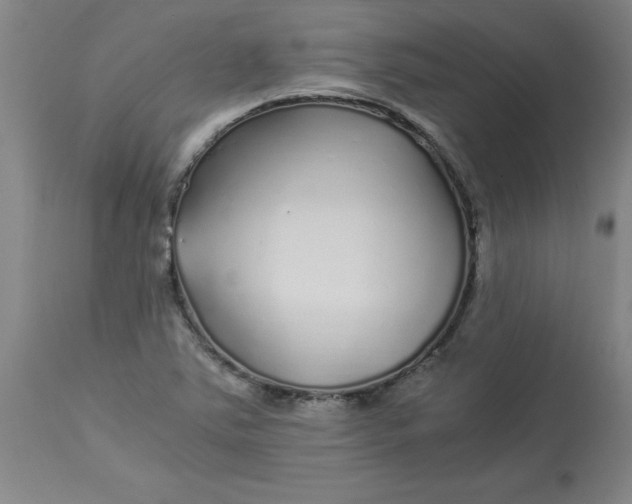 X0000112881363200909181838