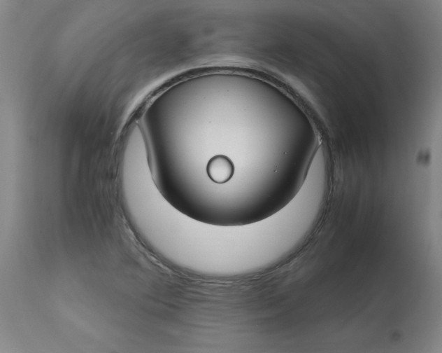 X0000112881364200909181838