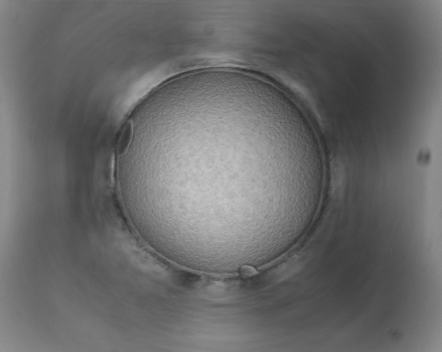 X0000112881365200909181838