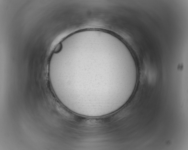 X0000112881366200909181838