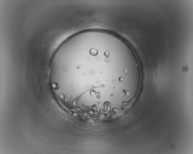 X0000112881367200909181838