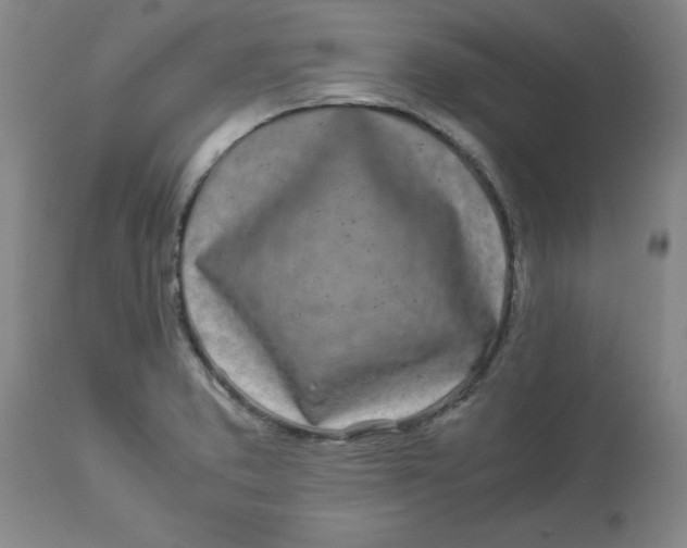 X0000112881373200909181838