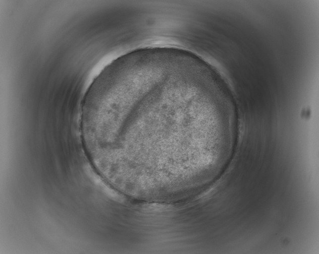 X0000112881374200909181838