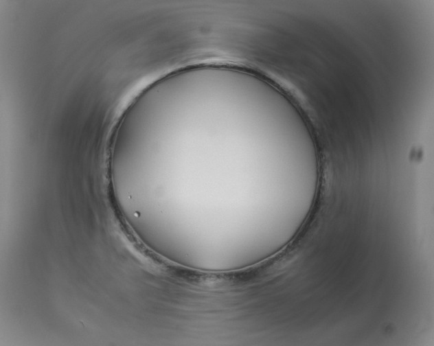 X0000112881375200909181838