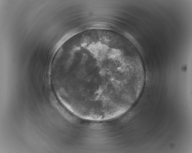 X0000112881378200909181838