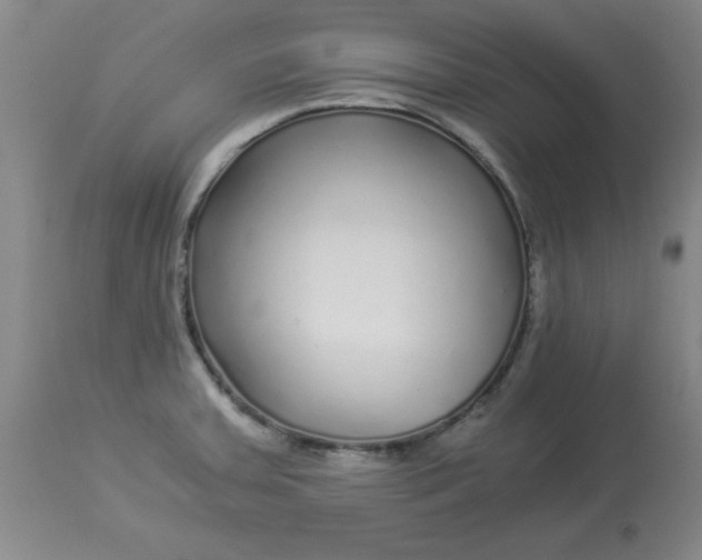 X0000112881379200909181838