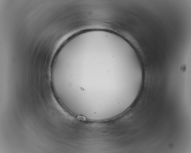 X0000112881380200909181838